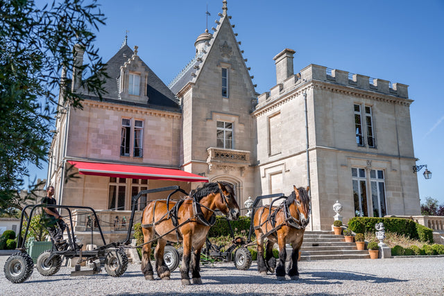 Chateau Pape Clement - Chateau Pape Clement Aop Pessac Leognan - Rouge - 2022 - 0,75