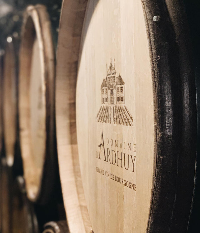 DOMAINE D'ARDHUY - Bourgogne Pinot Noir - Rouge - 2023