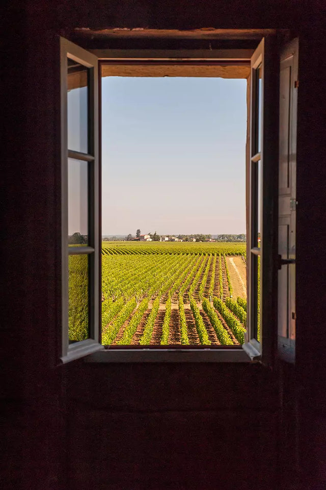 Chateau L'Evangile - Chateau L'Evangile Aop Pomerol - Rouge - 2013 - 0,75
