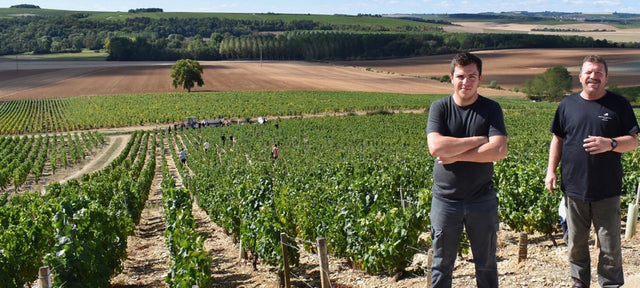 Domaine Gautherin - Chablis Premier Cru Vaillons - Blanc - 2022 - 0,75