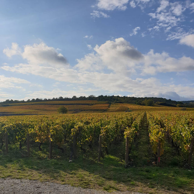 Domaine Desvignes - Givry 1er Cru La Grande Berge - Rouge - 2022 - 0,75