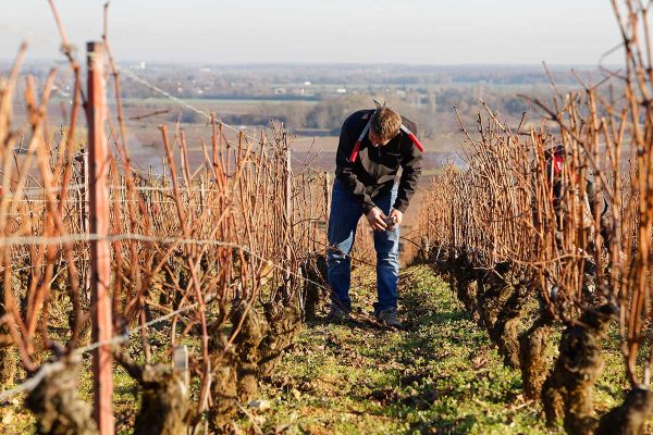 Domaine Joseph Voillot - Pommard vieilles vignes - Rouge - 2022 - 0,75