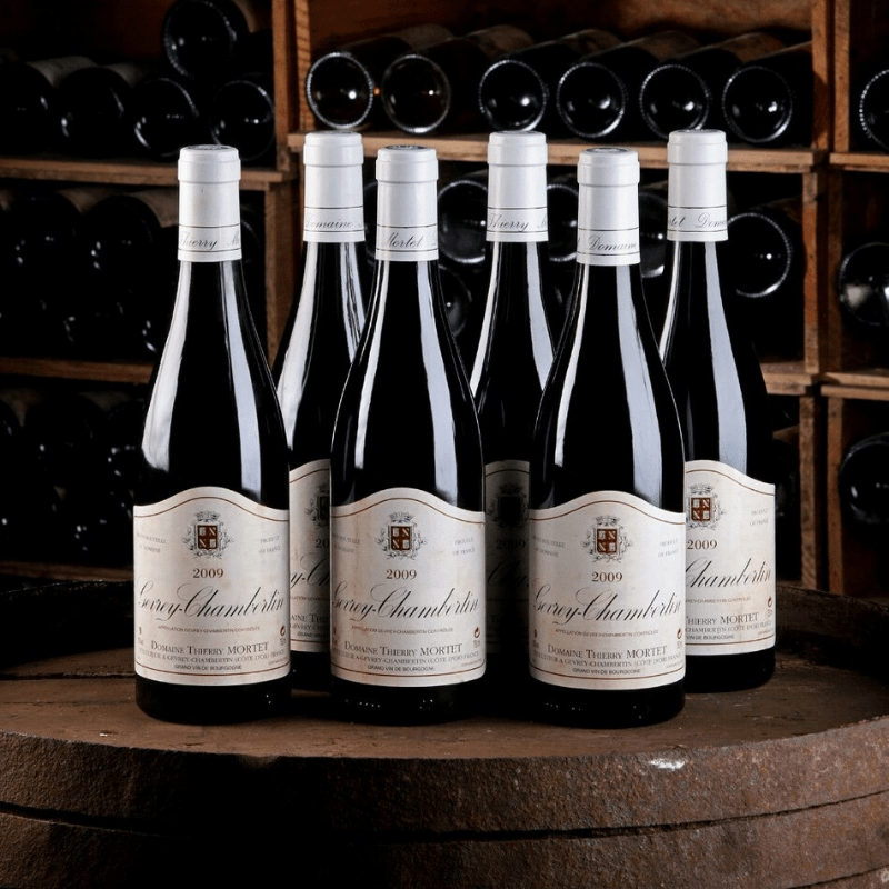 Domaine Thierry Mortet - Gevrey Chambertin - Rouge - 2021 - 0,75