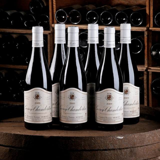 Domaine Thierry Mortet - Gevrey Chambertin - Rouge - 2021 - 0,75