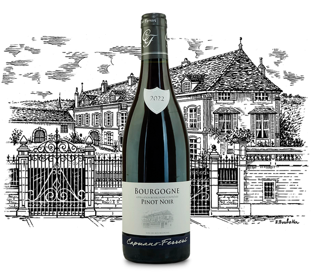 Domaine Capuano Ferreri - Bourgogne Pinot Noir - Rouge - 2023 - 0,75