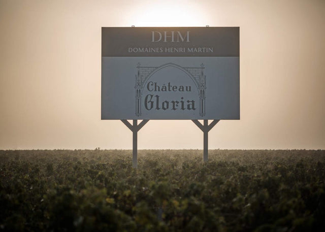 Chateau Gloria - Chateau Gloria Aop Saint Julien - Rouge - 2017 - 0,75