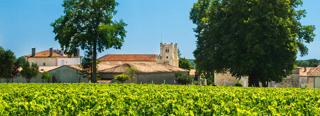 Chateau Potensac - Chateau Potensac - Rouge - 2016