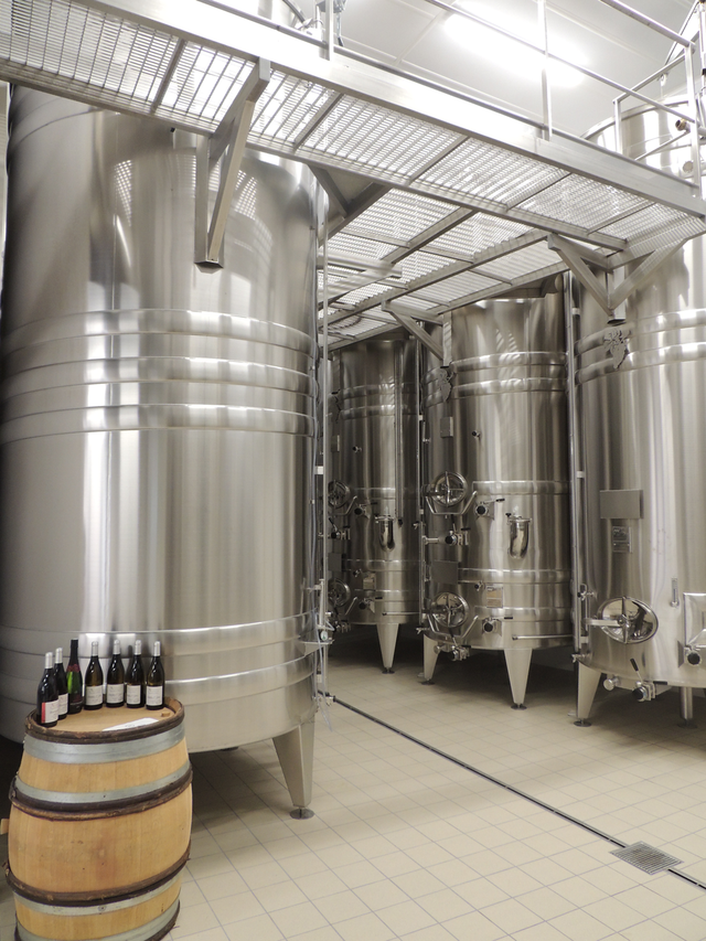 Maison Jean Notton - Petit Chablis - Blanc - 2022