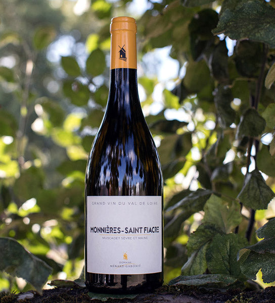 Domaine Menard Gaborit - Monnières Saint Fiacre - Blanc - 2022 - 0,75