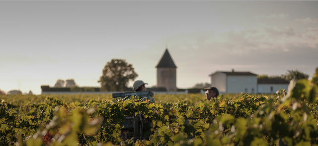 Chateau La Lagune - Moulin De La Lagune Aop Haut Medoc - Rouge - 2019 - 0,75