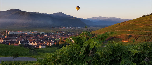 Domaine Hurst - Riesling Vieilles Vignes - Blanc - 2022 - 0,75
