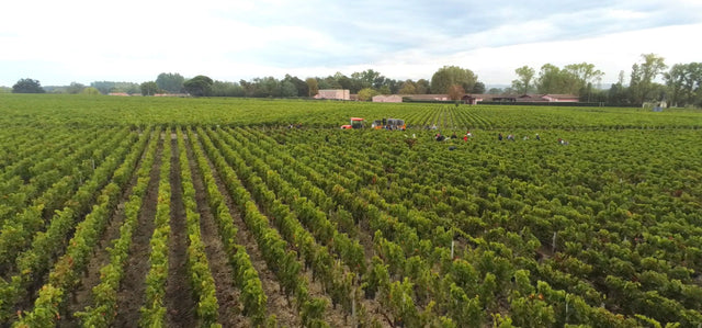 Chateau Siran - Chateau Siran - Rouge - 2018