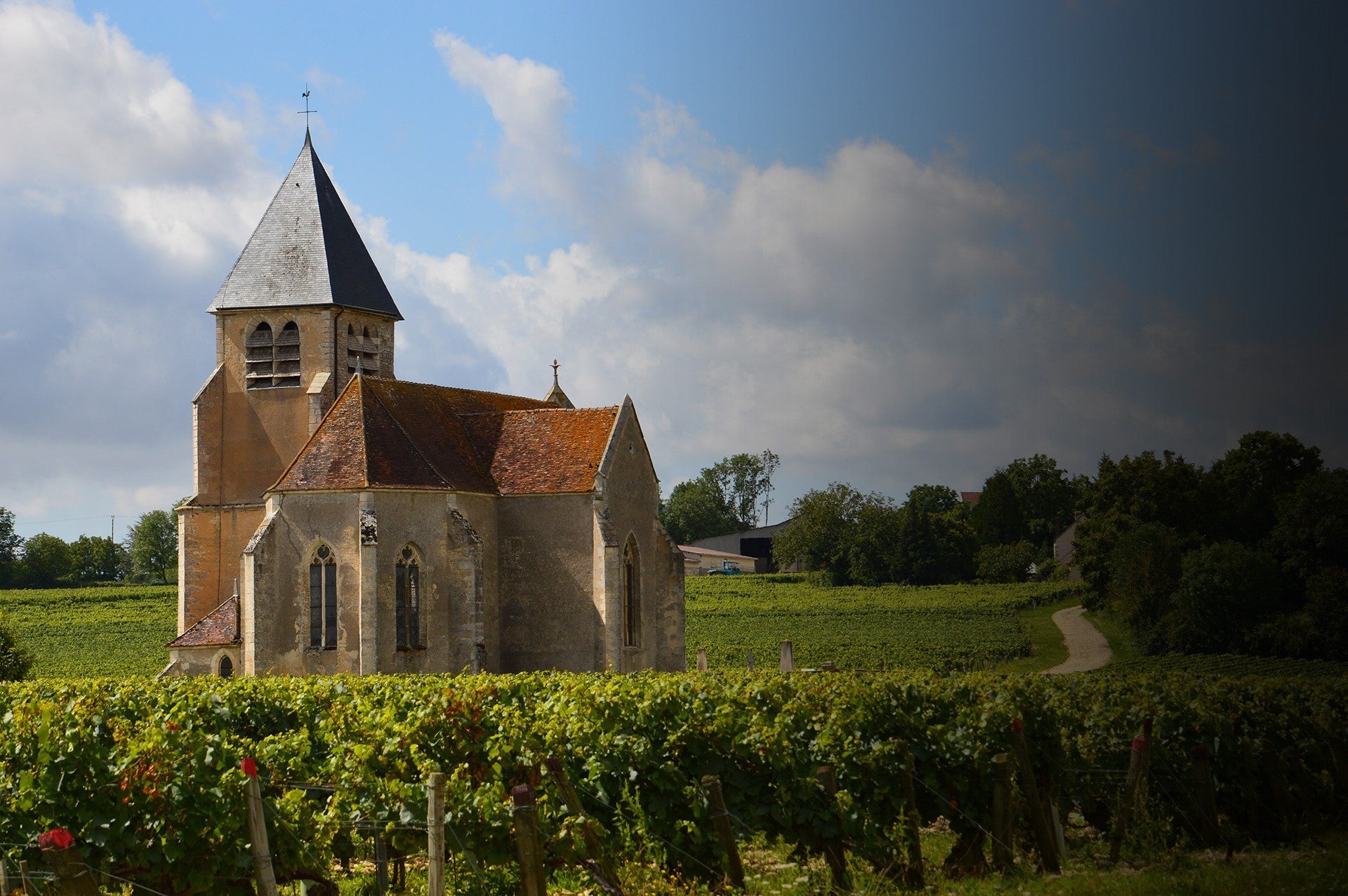 Famille Brocard - Bourgogne Aligoté - Blanc - 2022 - 0,75