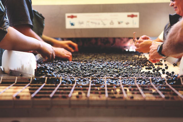 Chateau Deyrem Valentin - Chateau Deyrem Valentin - Rouge - 2018