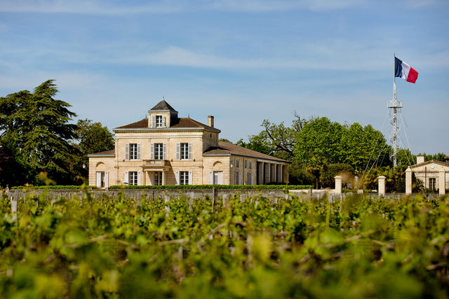 Chateau Montrose - Dame De Montrose Aop Saint Estephe - Rouge - 2019 - 0,75